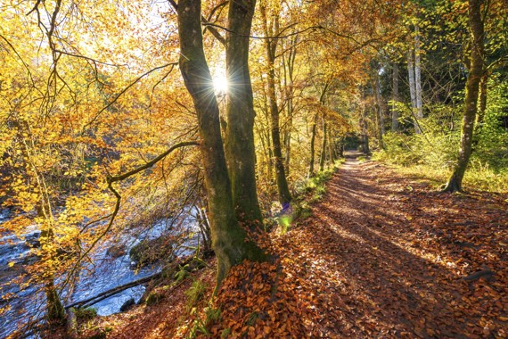 Perthshire and Pitlochry