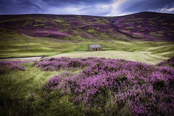 Cairngorms and Deeside