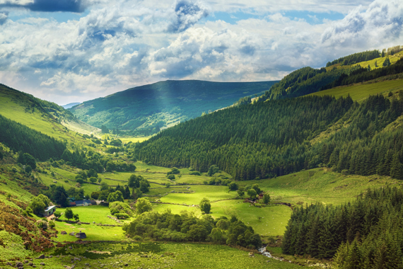 County Kildare